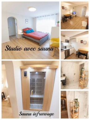 PRESTIGELOC Luxury Studio avec ou sans SAUNA - Coeur d'Orléans - La Loire